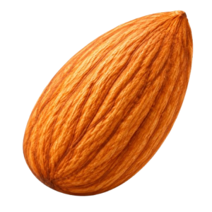 Badam Bold